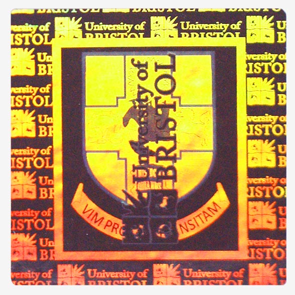 florida-seal-raised-scan